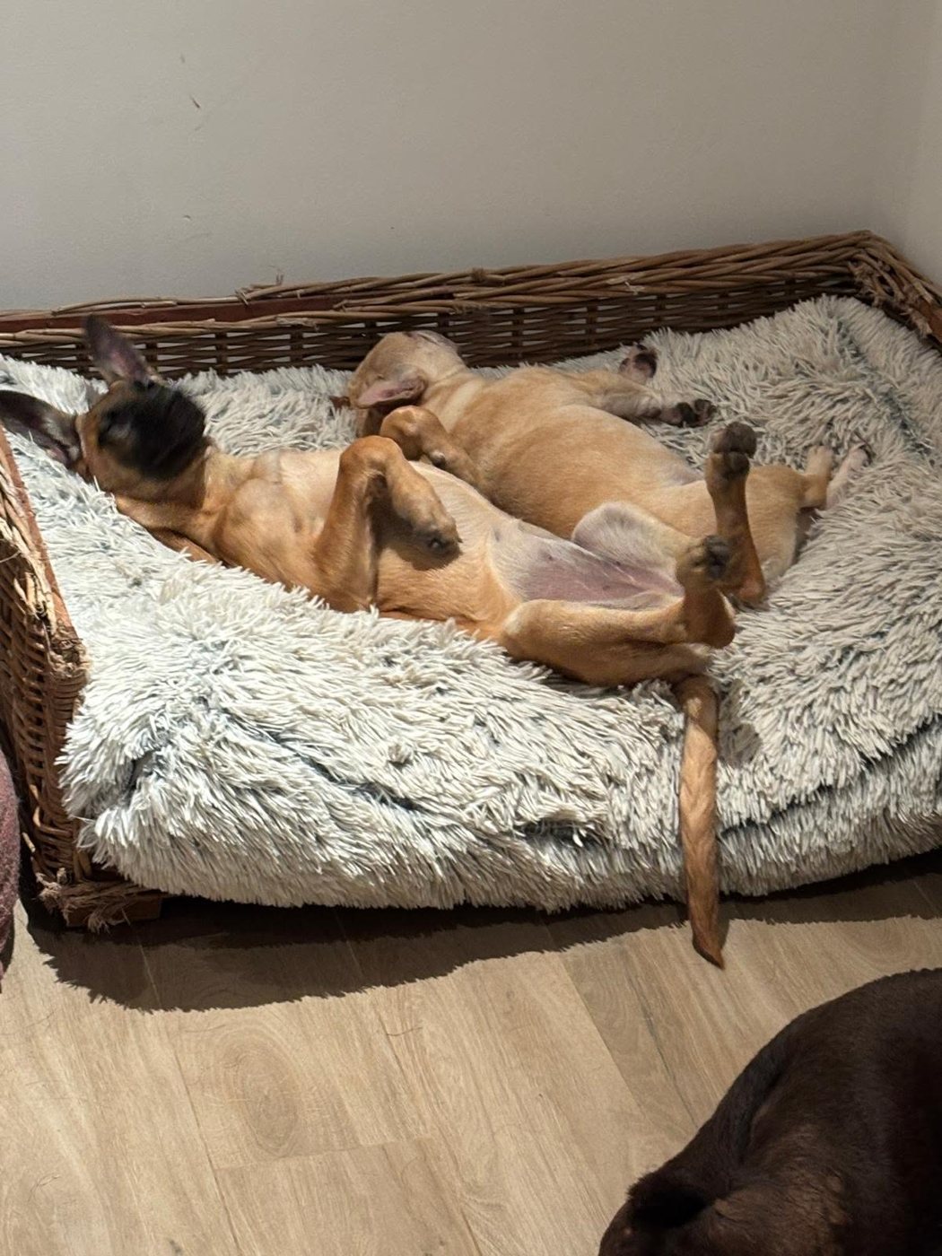 😴 Sieste à deux
